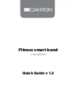 Preview for 1 page of Canyon CNE-SB12BB Quick Manual