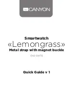 Preview for 1 page of Canyon CNS-SW70 Quick Manual