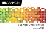 Preview for 1 page of Canyon MW-9 Quick Start Manual