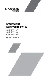 Canyon Semifreddo SW-61 Quick Manual preview