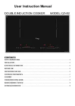 Canzy CZ-I62 User Instruction Manual preview