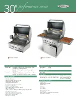 Preview for 1 page of Capital Performance Series PSQ30RBI Specifications