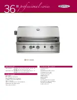 Preview for 1 page of Capital Professional Series PRO36RBI Specifications