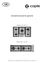 Caple C1071G Instruction Manual preview