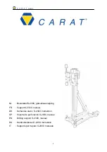 Carat S-2300 Manual предпросмотр