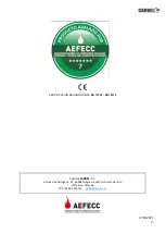 Preview for 27 page of CARBEL AEFECC G 100 Manual For Use And Maintenance