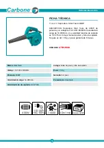 CARBONE TB2046 Quick Start Manual предпросмотр