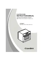 Cardini OV6200 Instruction Manual preview