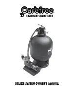 Carefree Deluxe Sand Filter System Owner'S Manual preview