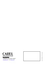 Предварительный просмотр 32 страницы Carel ADPB003000 User Manual