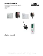 Carel AP Access Point User Manual предпросмотр