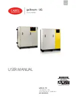 Carel gaSteam UG045 User Manual preview