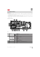 Предварительный просмотр 19 страницы Carel Heosone Technical Leaflet