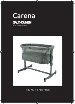 Preview for 1 page of Carena 428203 Manual