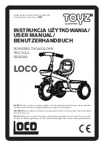 Предварительный просмотр 1 страницы Caretero TOYZ LOCO User Manual