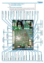 Preview for 59 page of Carimali BlueDotPlus Maintenance Manual