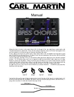 Carl Martin Bass Chorus Manual предпросмотр