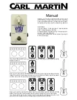 Carl Martin Hydra boost Manual preview