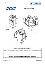 Preview for 1 page of Carlisle BINKS 31-507 Service Manual