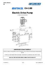 Preview for 1 page of Carlisle BINKS E4-100 Manual