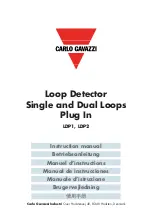 CARLO GAVAZZI LDP1 Instruction Manual предпросмотр