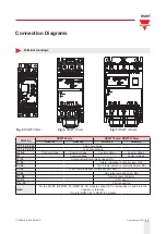 Предварительный просмотр 17 страницы CARLO GAVAZZI RSWT Series Manual