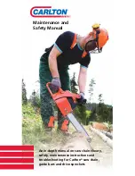 Carlton A1EP-GL Maintenance And Safety Manual preview
