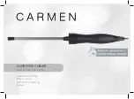 Carmen CT4620 Manual preview