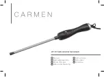 Carmen CT5197 Manual preview