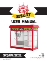 Carnival King 382PMW17R User Manual предпросмотр