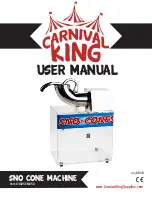 Carnival King 382SCM250 User Manual preview