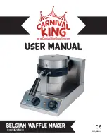 Carnival King 382WBM13 User Manual preview