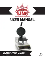 Carnival King 382WCM1 User Manual preview