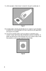 Предварительный просмотр 6 страницы Carolina 3M Petrifilm ColiformCount Plates Instruction Manual