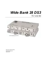 Carrier Access Wide Bank 28 DS3 Overview preview