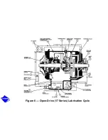 Предварительный просмотр 351 страницы Carrier 17/19EX Start-Up, Operation And Maintenance Instructions Manual