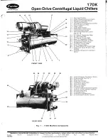 Предварительный просмотр 3 страницы Carrier 17DK Operating And Maintenance Instructions Manual