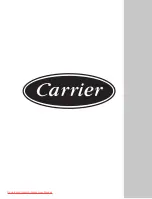 Предварительный просмотр 61 страницы Carrier 38HNR010-713 Service Manual