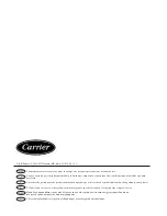 Preview for 13 page of Carrier 38YE009(012) Installation Manual