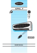 Carrier 42PHQ P Series Owner'S Manual preview