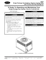 Preview for 1 page of Carrier 48GP024 Operating And Maintaining Manual