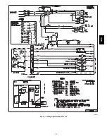 Предварительный просмотр 15 страницы Carrier 50SD024 Installation Instructions Manual