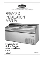 Carrier 52-2038-01 Service & Installation Manual preview