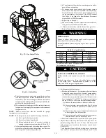 Preview for 38 page of Carrier 58DLA Installation, Start-Up, Operating And Service And Maintenance Instructions