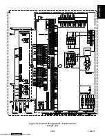 Предварительный просмотр 111 страницы Carrier 69NT40-511-1 Operation And Service