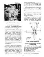 Preview for 10 page of Carrier Flotronic 30GB Wiring, Controls And Troubleshooting