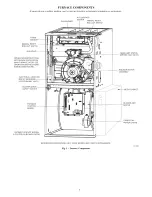 Предварительный просмотр 3 страницы Carrier Furnace Owner'S Manual