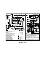 Предварительный просмотр 6 страницы Carrier INDUCED COMBUSTION 58YAV Service And Maintenance Instructions