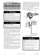 Preview for 20 page of Carrier N80VSL Instruction Manual