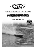 Carson Rapscallion brushless Instruction Manual предпросмотр